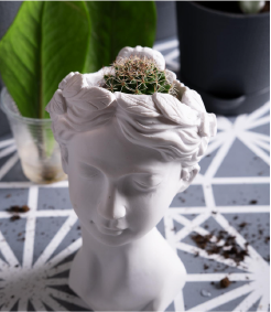 Modern Asma Tavan Tasarımları